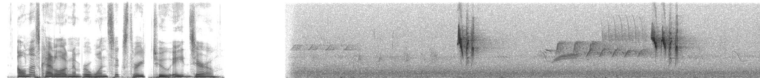 Mexican Chickadee - ML163280