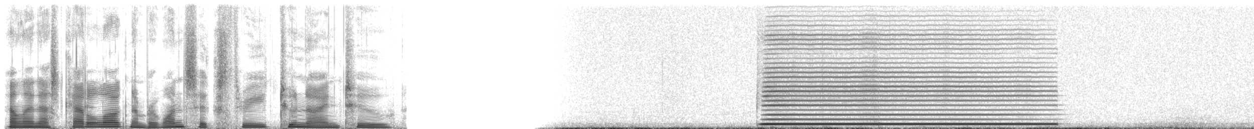 Aplomado Falcon - ML163292