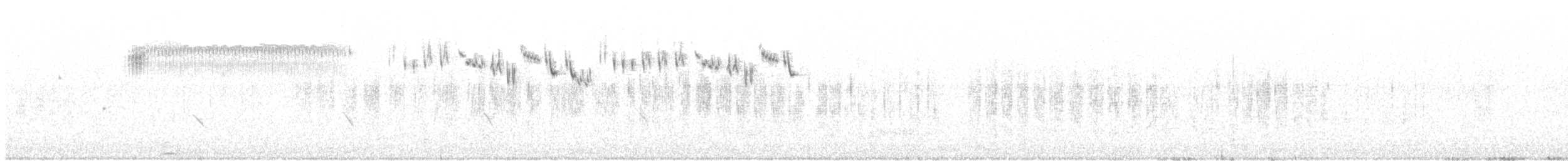 Кузнечиковая овсянка-барсучок - ML163343291