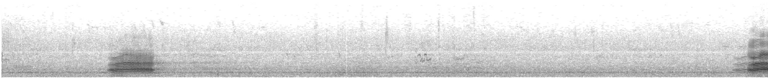 Cuervo de Tasmania - ML163369501