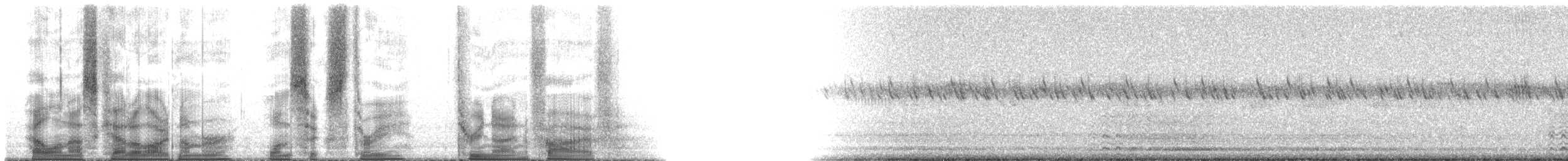 Omani Owl - ML163395