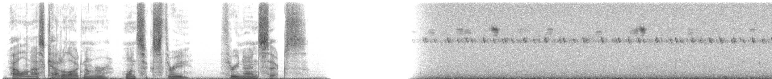 Omani Owl - ML163396