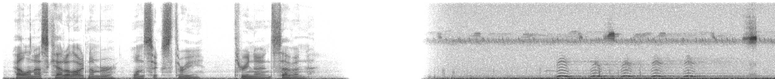 Omani Owl - ML163397