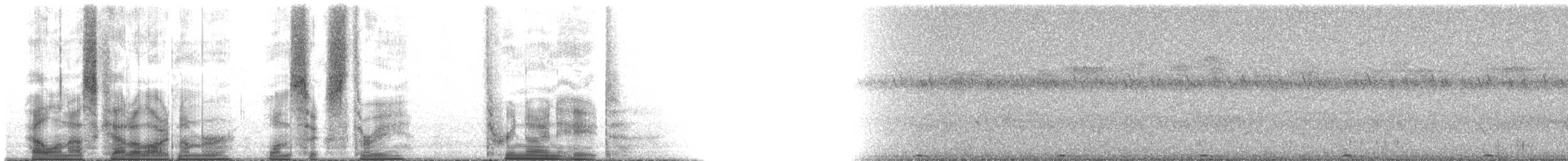 Omani Owl - ML163398