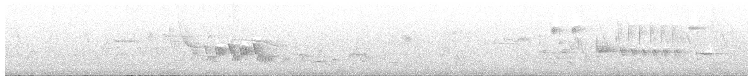 svartbrystparula - ML163415851