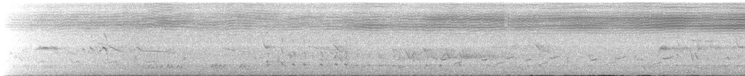 storsvaleseiler - ML163418181