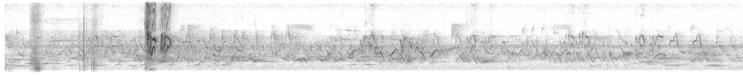 Hirondelle rustique - ML163432221