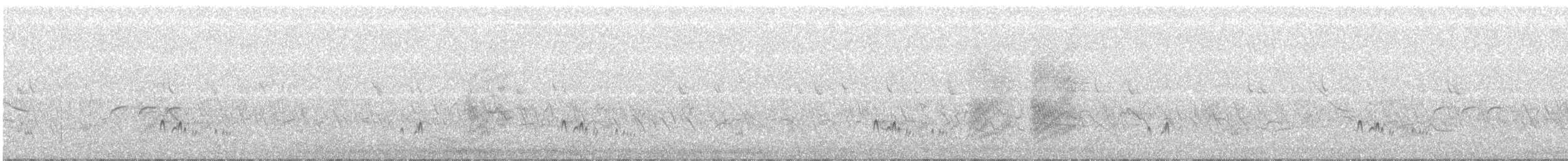 Gri Boğazlı Sinekkapan - ML163452251