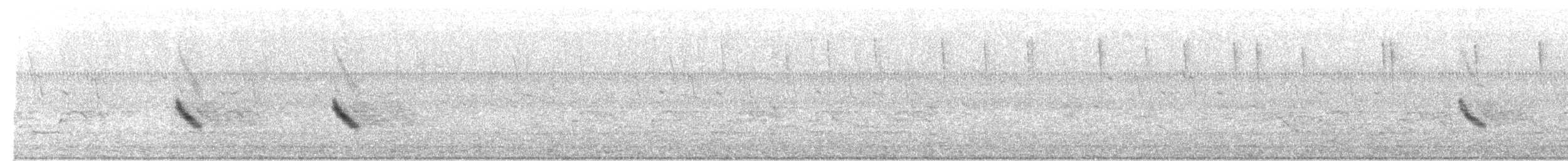 Büyük Mor Kırlangıç - ML163477971