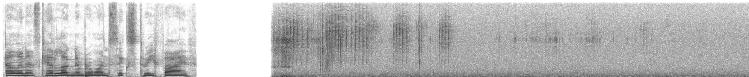 Farifotra d'Appert - ML1635