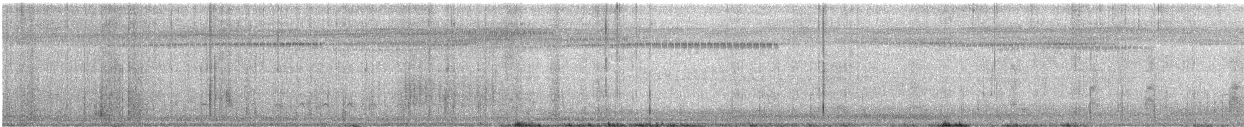 belteisfugl - ML163501471