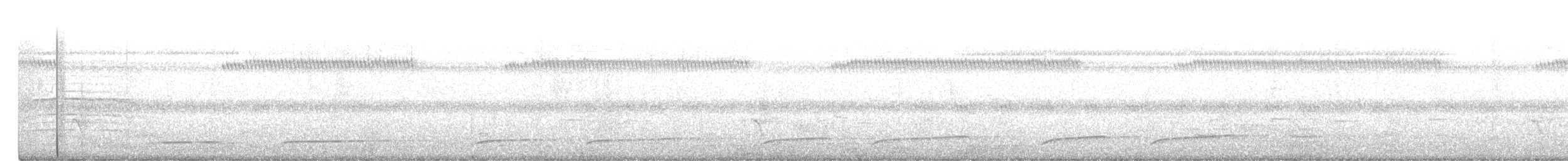 Torquéole de Sonnerat - ML163513031