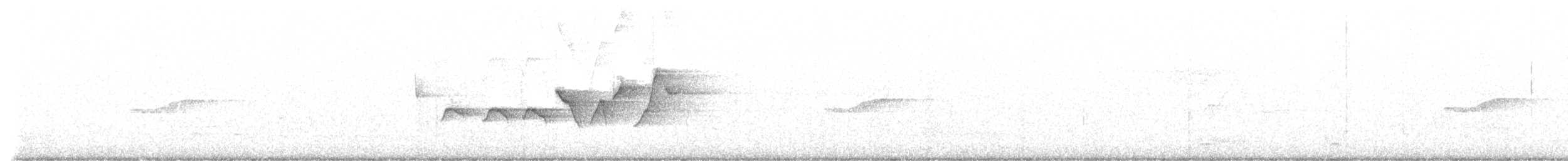 Paruline à capuchon - ML163519131
