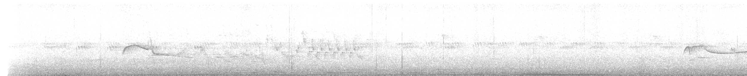 Eastern Wood-Pewee - ML163594991