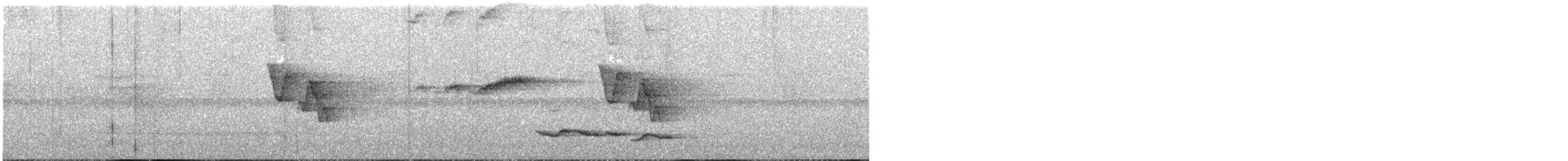 Белогрудый крапивник [группа prostheleuca] - ML163603081