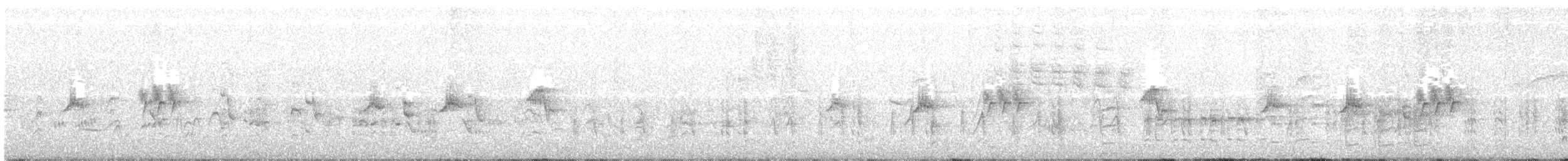 Great Reed Warbler - ML163604751