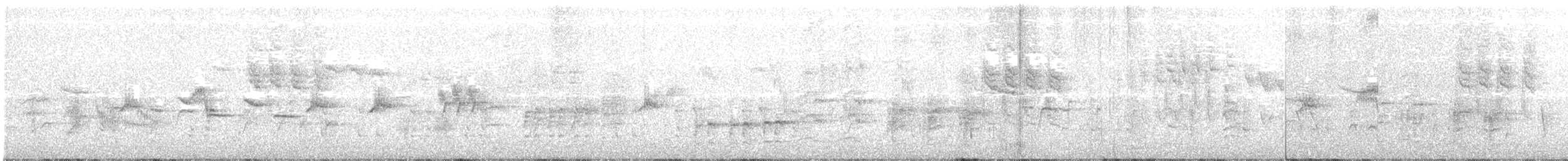 Great Reed Warbler - ML163604891
