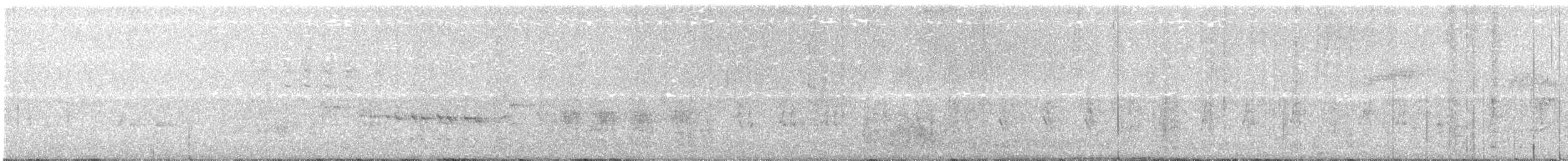 Great Reed Warbler - ML163606851