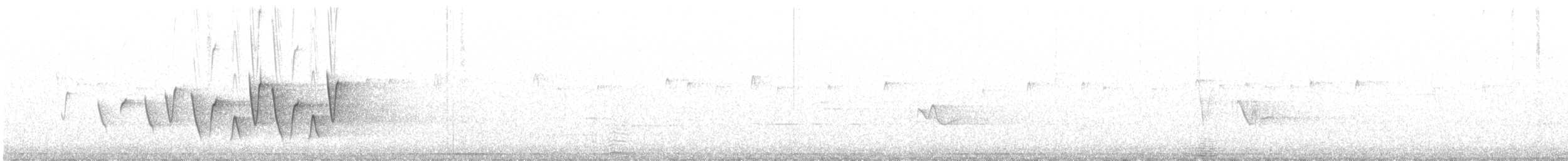 Connecticut Warbler - ML163609521
