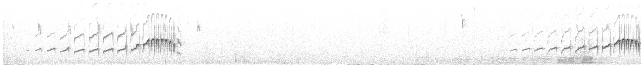Perija Thistletail - ML163611501
