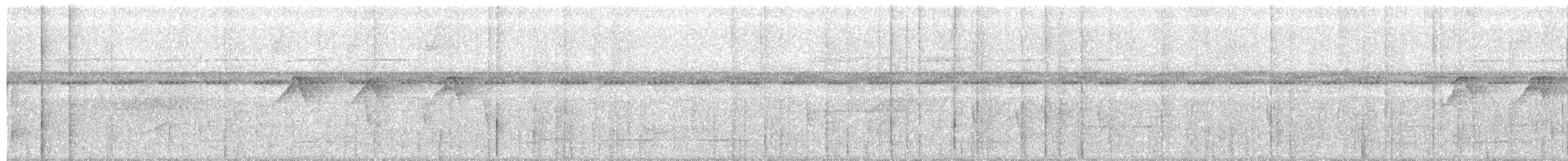 Rufous-tailed Stipplethroat - ML163637281