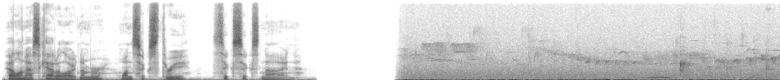 Белохвостая астрапия - ML163669