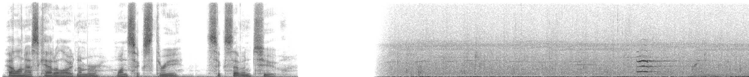 Дивоптах-шилодзьоб бурий - ML163672