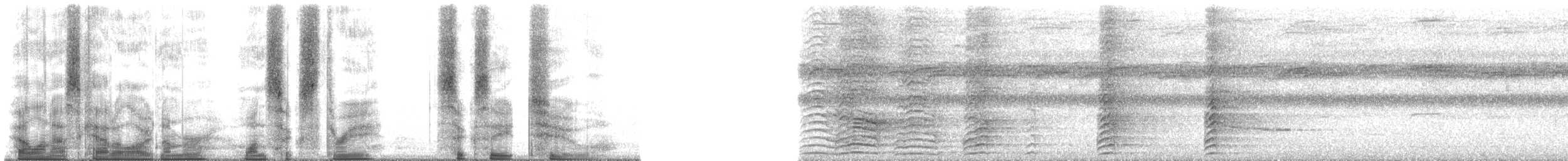 Lavanta Göğüslü Cennetkuşu - ML163682