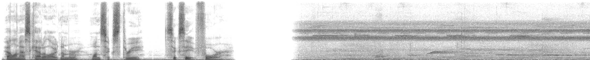 Kräuselparadieskrähe - ML163684