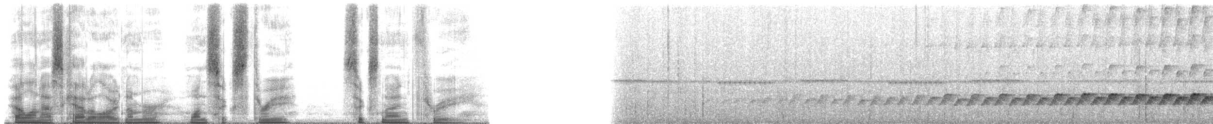 Black-billed Sicklebill - ML163693