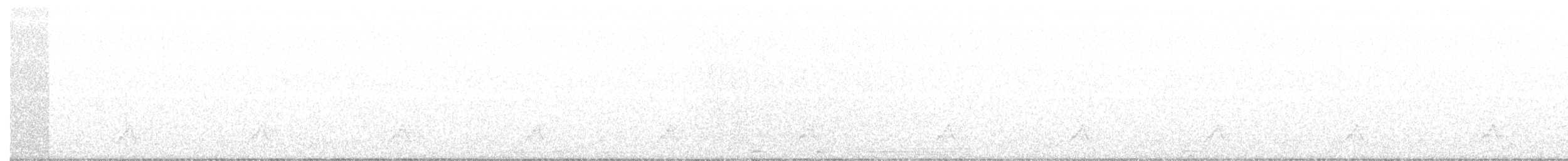 Schwarzkehl-Nachtschwalbe - ML163695631