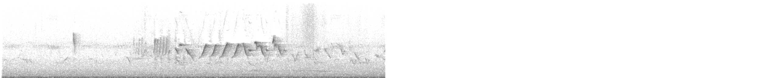 Yellow-throated Warbler - ML163699881