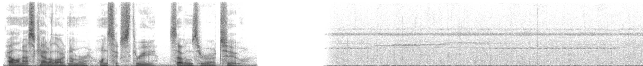 Standardwing Bird-of-Paradise - ML163702