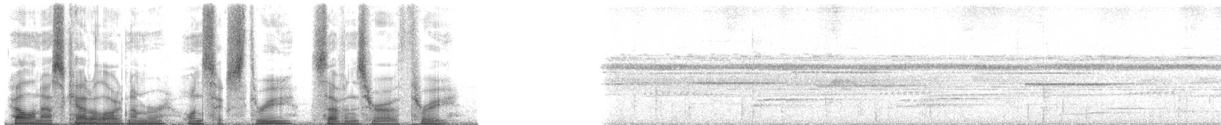 Standardwing Bird-of-Paradise - ML163703