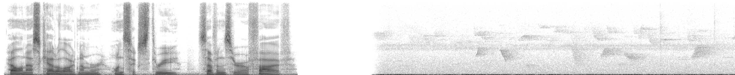 Дивоптах-шилодзьоб чорний - ML163705
