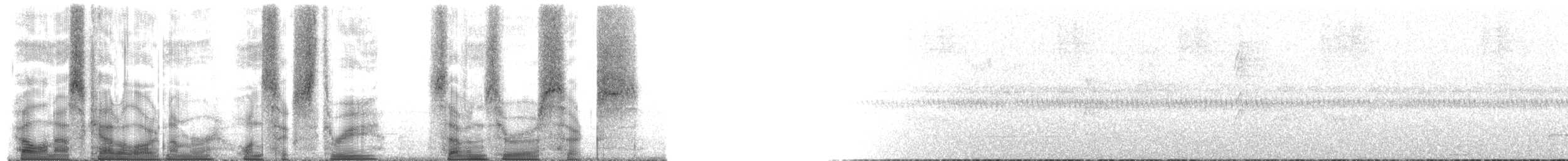 Дивоптах-шилодзьоб чорний - ML163706
