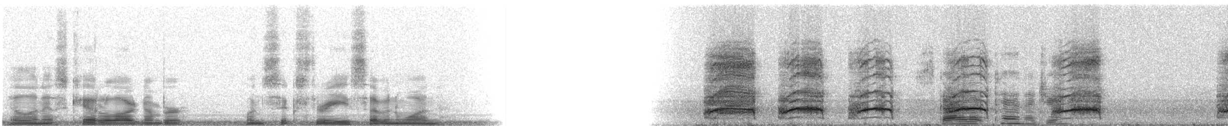 Kara Kanatlı Piranga - ML16371