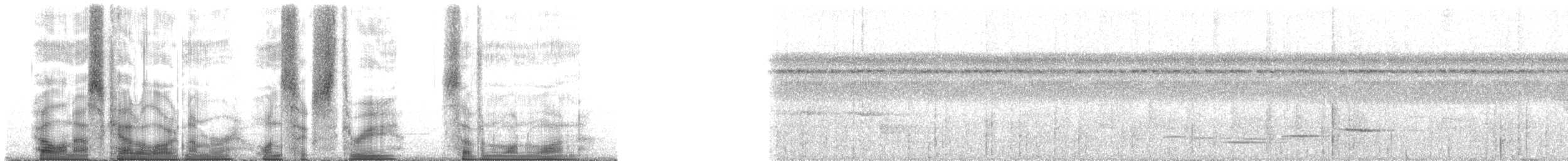 Дивоптах-білозір синьоголовий - ML163711