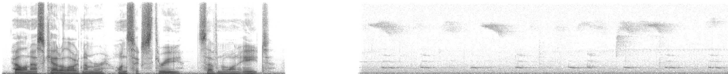 svartsigdnebb - ML163718