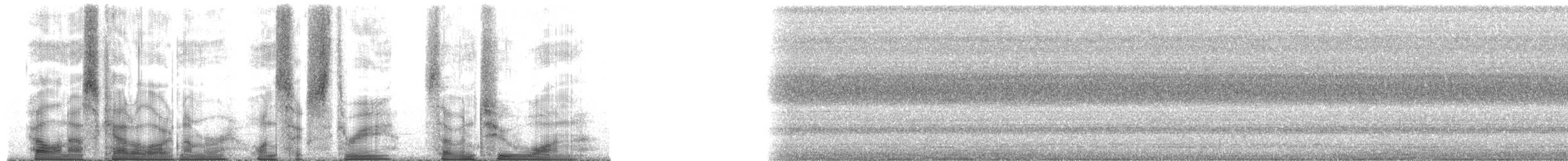 Lesser Bird-of-Paradise - ML163721