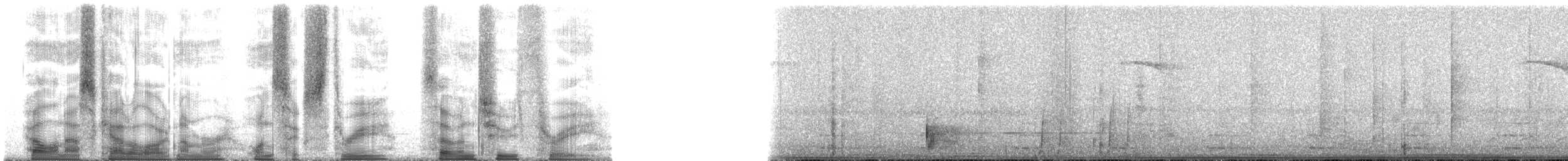 Arfak Astrapia - ML163723