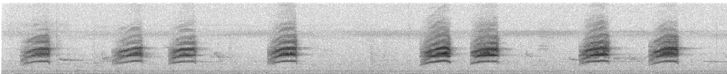 Chivi Vireo (migratory) - ML163724761