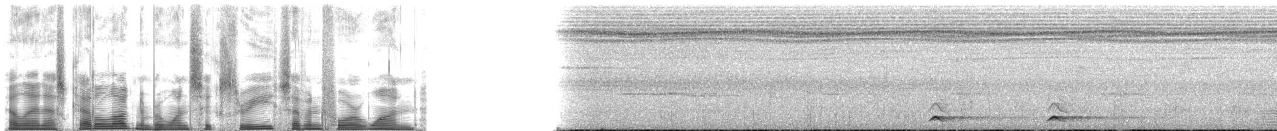 Western Hooded Pitta (Sunda) - ML163741