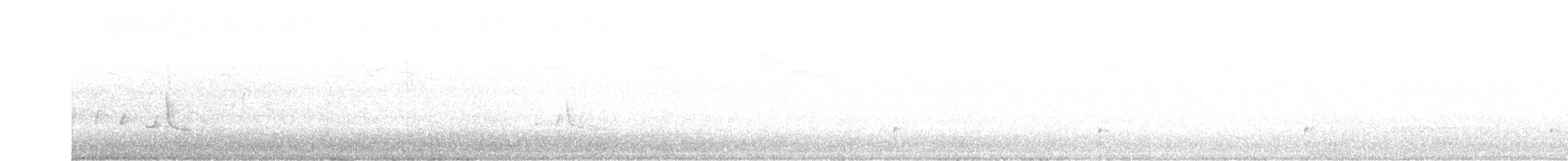 Красноглазая монашка - ML163744701