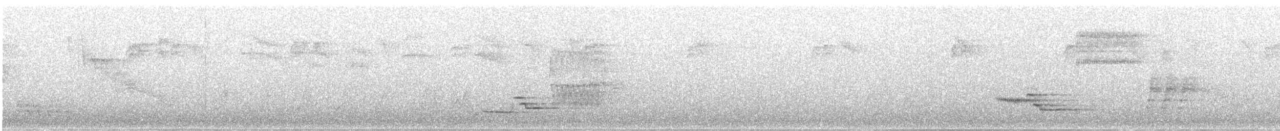 Wood Thrush - ML163757301