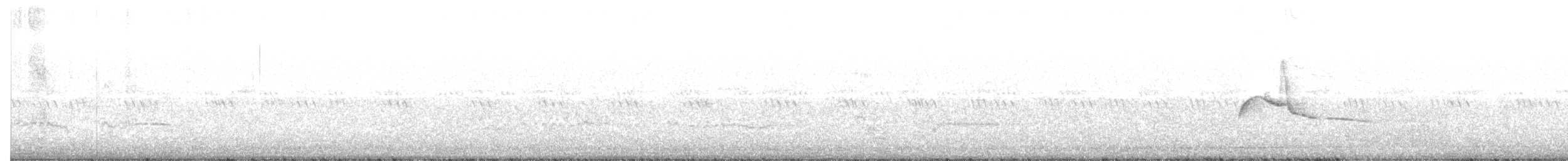 Eastern Wood-Pewee - ML163775761