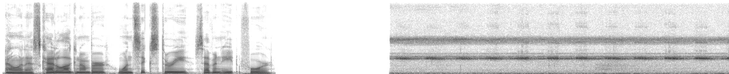 Narrow-winged Tree Cricket - ML163784