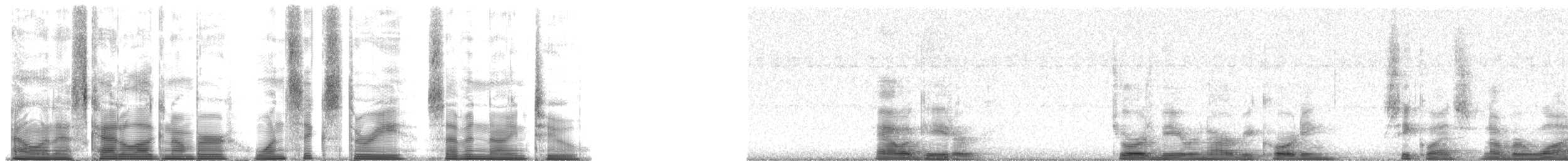 American Alligator - ML163792