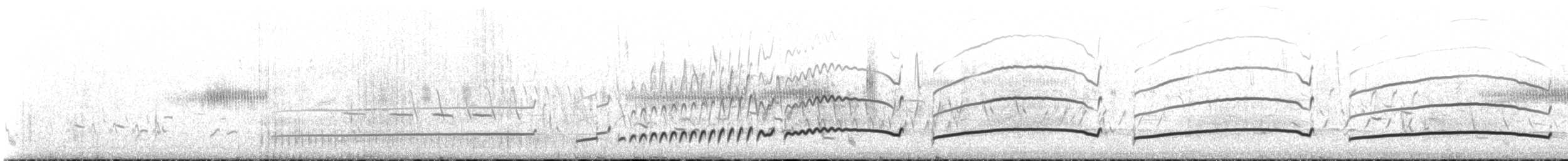 langnebbspove - ML163811961