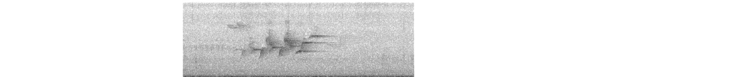 Black-throated Gray Warbler - ML163824251